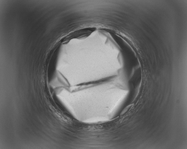 X0000082960345200702222346