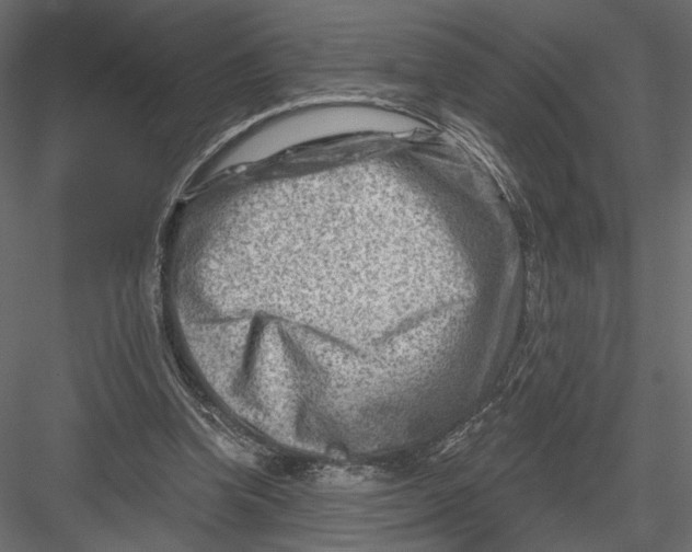 X0000082960346200702222346