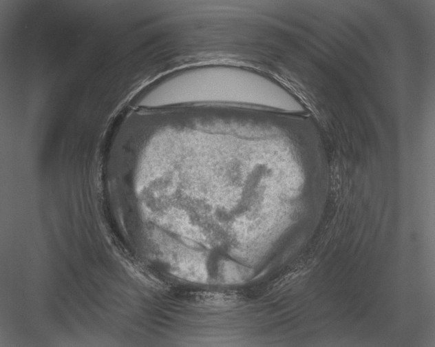 X0000082960347200702222346