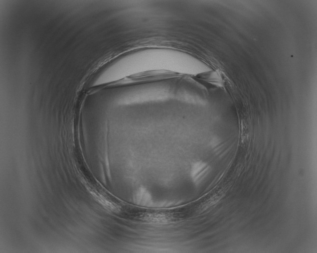 X0000082960349200702222346