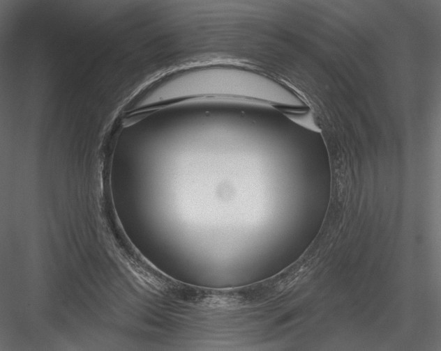 X0000082960350200702222346