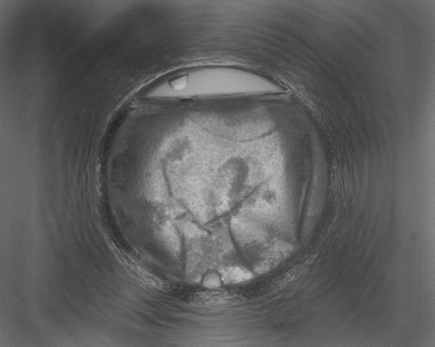 X0000082960351200702222346