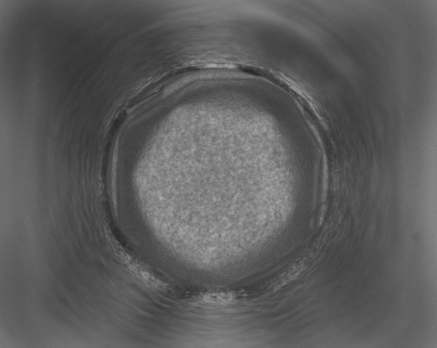 X0000082960353200702222346