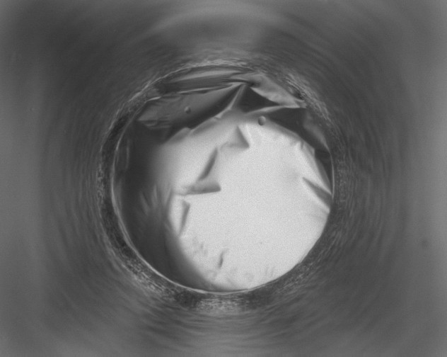 X0000082960354200702222346