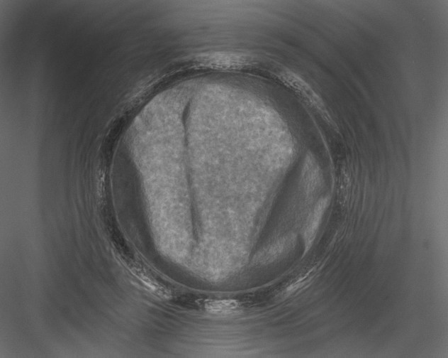 X0000082960355200702222346