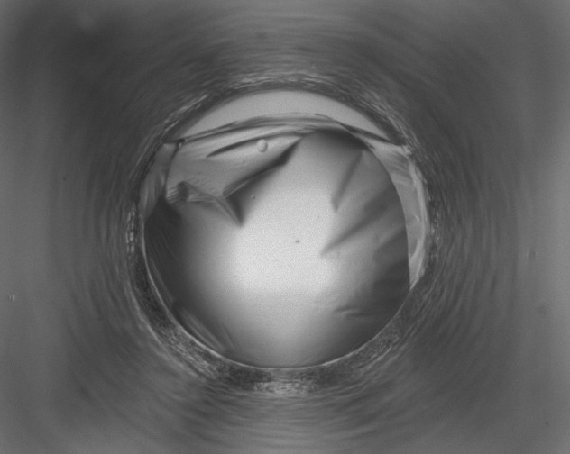 X0000082960356200702222346