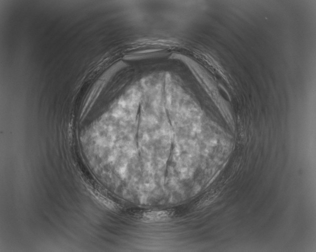 X0000082960357200702222346