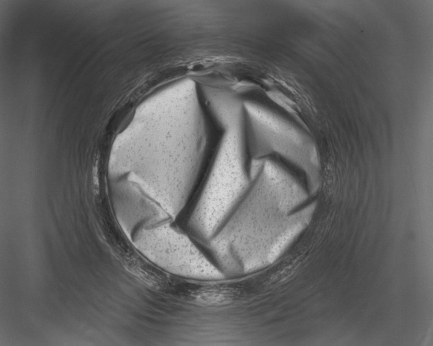 X0000082960358200702222346