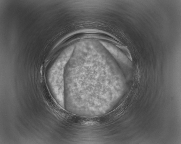 X0000082960360200702222346