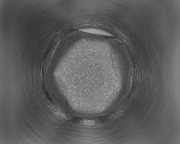 X0000082960361200702222346