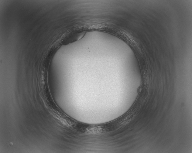 X0000082960362200702222346