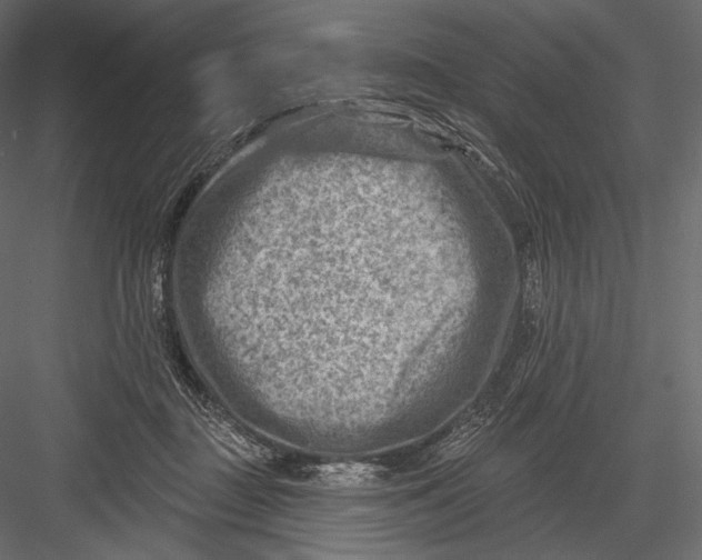 X0000082960363200702222346