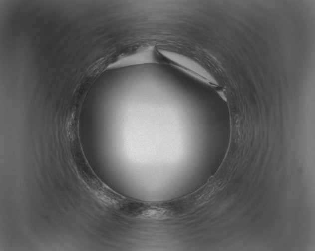 X0000082960364200702222346