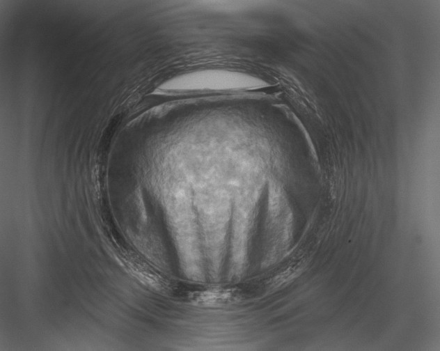 X0000082960366200702222346