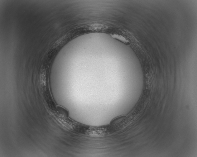 X0000082960368200702222346