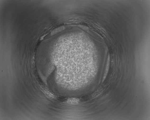 X0000082960369200702222346