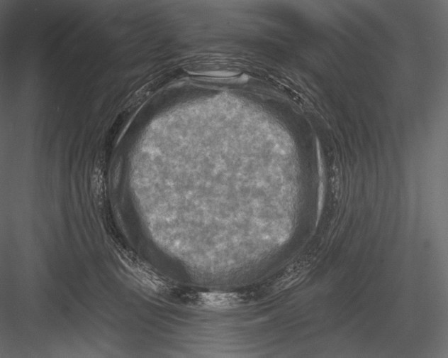 X0000082960371200702222346