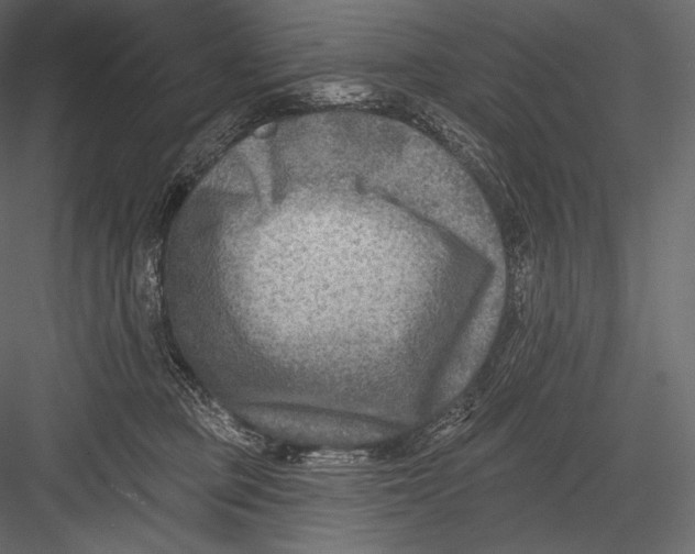 X0000082960373200702222346