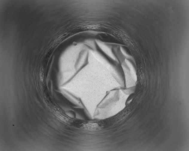 X0000082960374200702222346