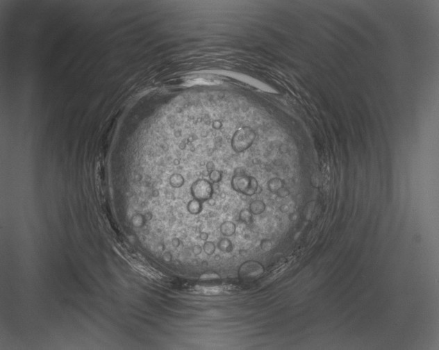 X0000082960375200702222346