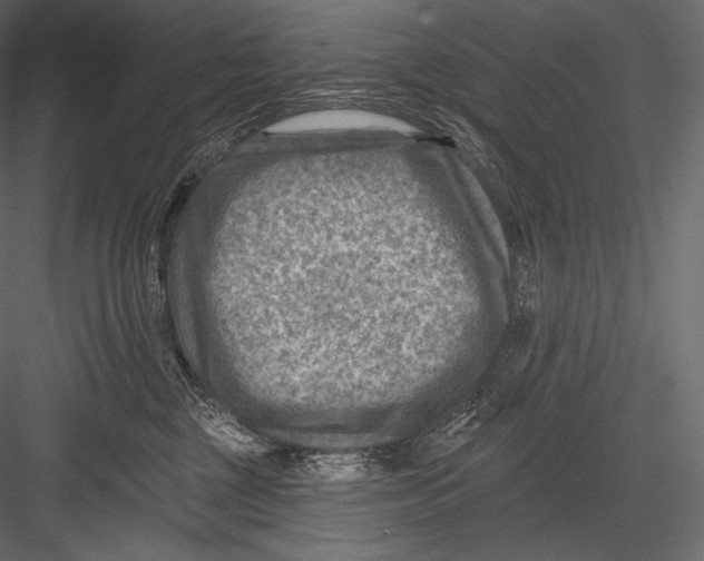 X0000082960377200702222346