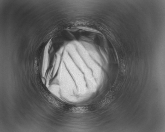 X0000082960378200702222346