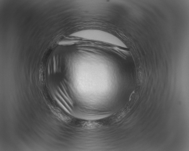 X0000082960379200702222346