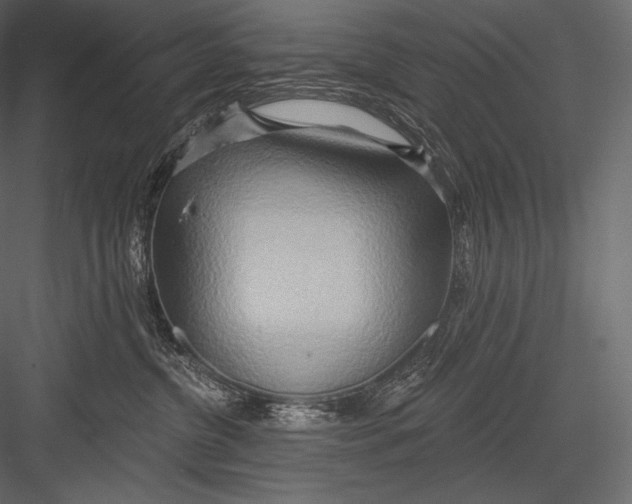 X0000082960380200702222346