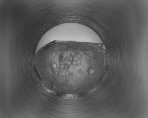 X0000082960381200702222346