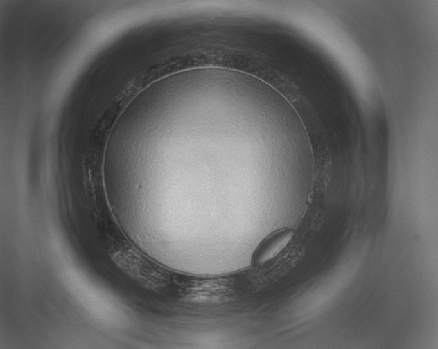 X0000082960382200702222346