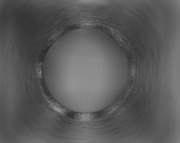 X0000082960383200702222346