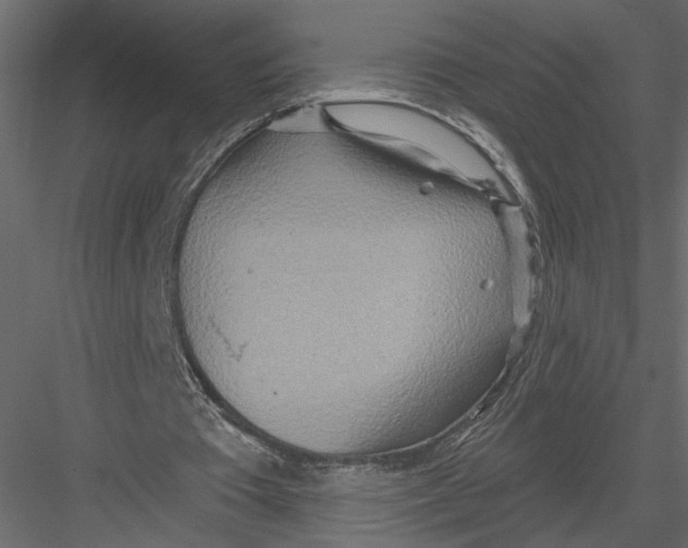 X0000082960385200702222346