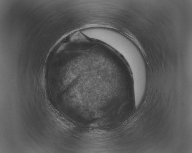 X0000082960387200702222345