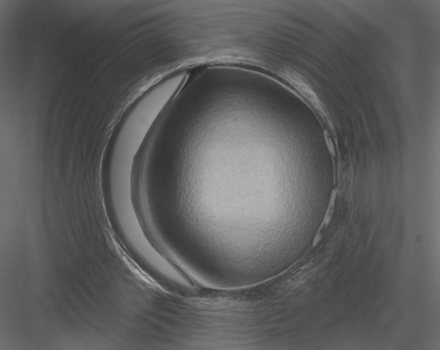 X0000082960389200702222345