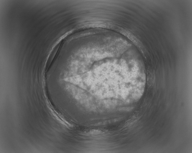 X0000082960390200702222345