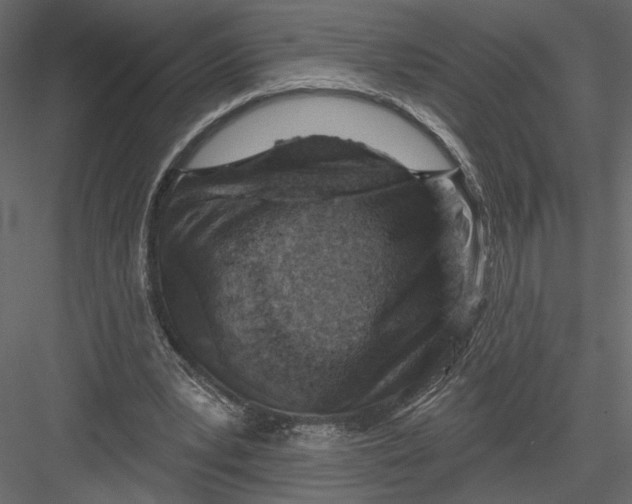 X0000082960391200702222345