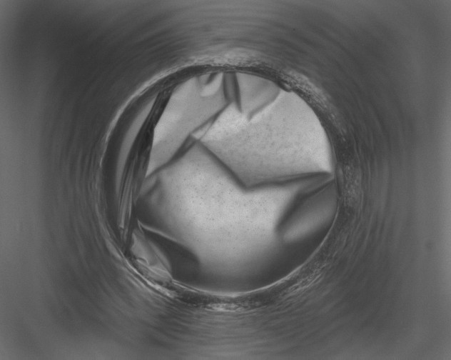 X0000082960392200702222345