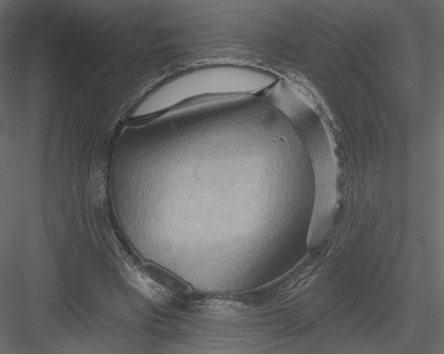 X0000082960393200702222345