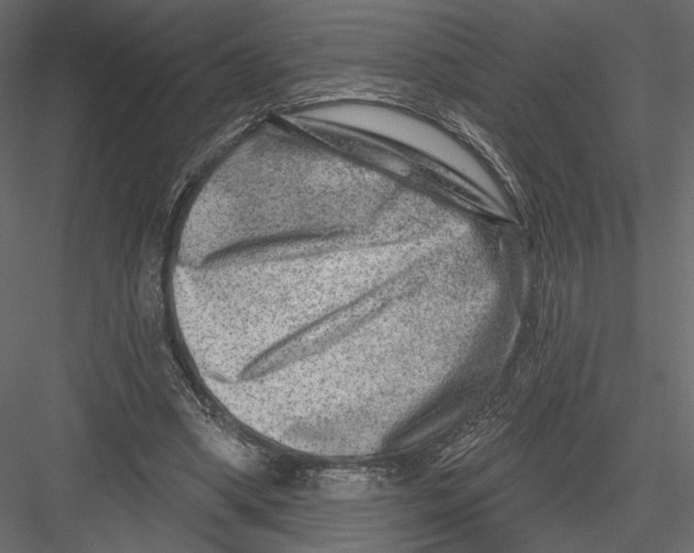 X0000082960394200702222345