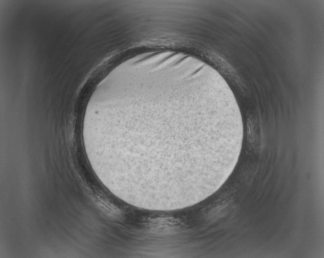 X0000082960396200702222345