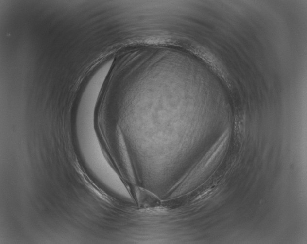 X0000082960397200702222345