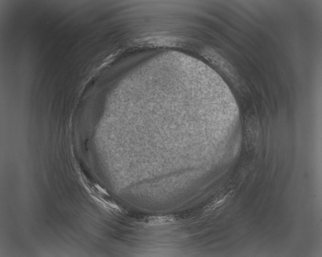 X0000082960398200702222345