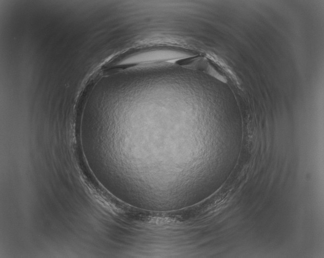 X0000082960399200702222345