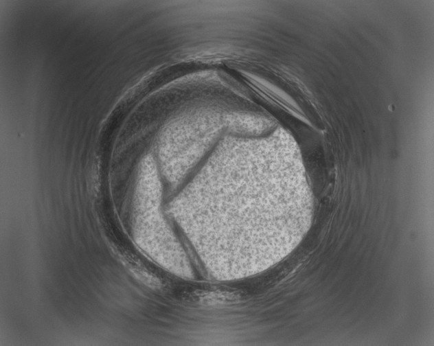 X0000082960400200702222345