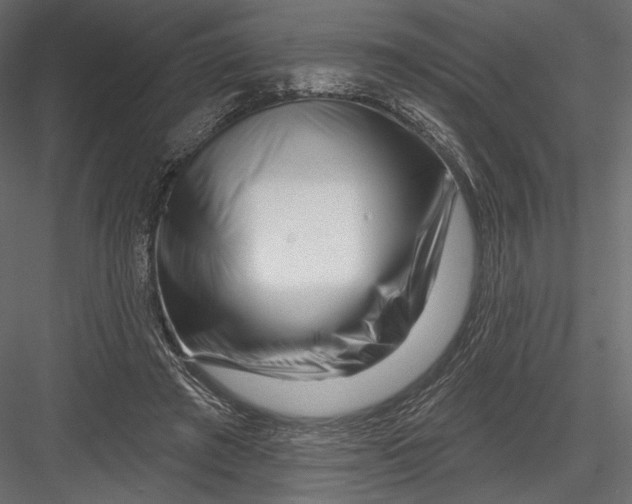 X0000082960401200702222345