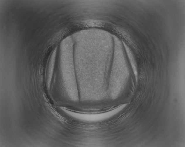 X0000082960402200702222345