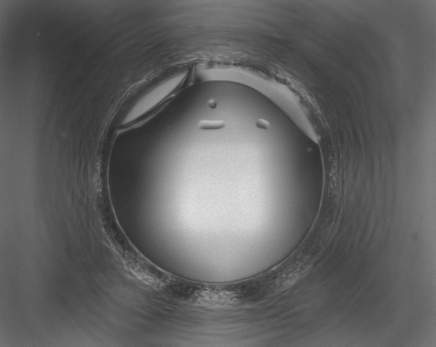 X0000082960403200702222345