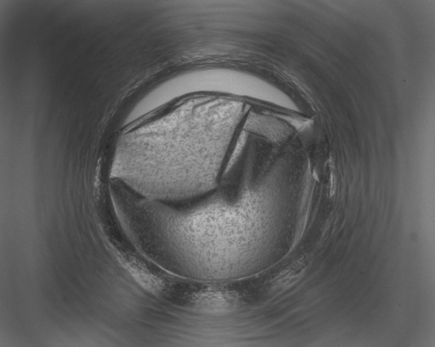 X0000082960404200702222345