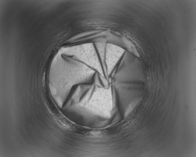 X0000082960406200702222345