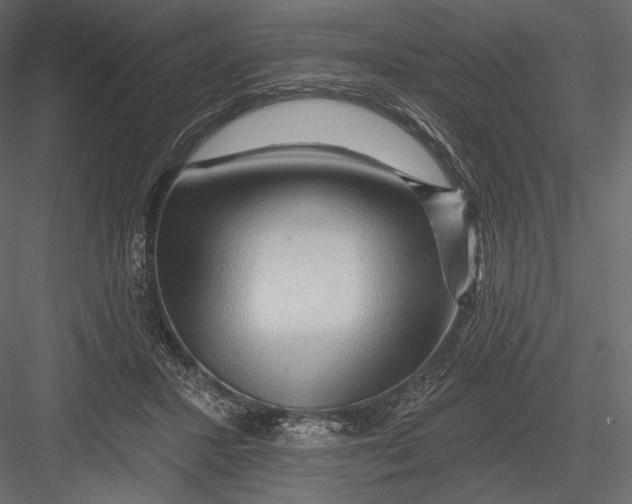 X0000082960407200702222345